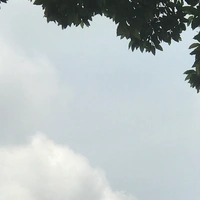 Mẹ tiểu phương 