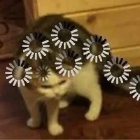 Con tác giả bị lười