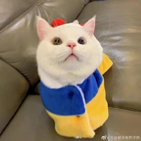 Con Tác giả bị thần kinh