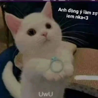 em của tác giả bị nghiện