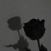 tác giả sad girl ᕙ⁠(⁠ ⁠ ⁠•⁠ ⁠‿⁠ ⁠•⁠ ⁠ ⁠)