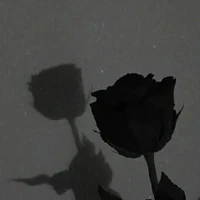 tác giả sad girl ᕙ⁠(⁠ ⁠ ⁠•⁠ ⁠‿⁠ ⁠•⁠ ⁠ ⁠)