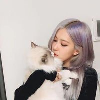 rosé