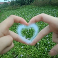 Pà T/G cute phô mai que^^