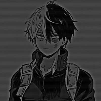 shoto Todoroki