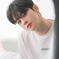 Cha Eun Woo