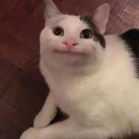 cả lớp