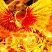 Phượng hoàng của Yoe