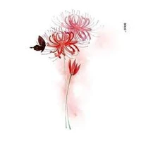 tác giả /Hân|