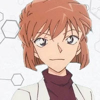haibara ai/sherry