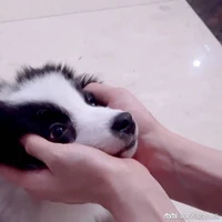 Tác giả: 𝓛𝔂𝓽