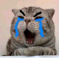 Nam Ny của Nguyên