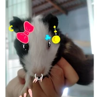 tác giả siuuuuuuuuuuuuuuuuu đẹp gái:))))