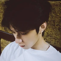 Lưu Diệu Văn