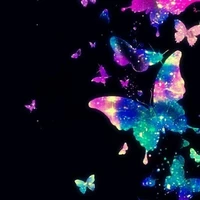 Bướm sắc màu_Coa
