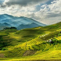 Phương Khang Thịnh ( bố nu9 )