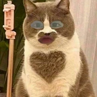 tác giả ume Ugi ><
