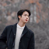 Kim Seok-Jin |Umma Cô|