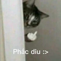 Wỷ tác giả (・∀・)