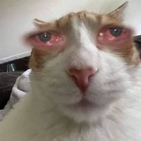 tập thể lớp 12D