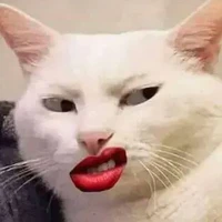 T/G lười