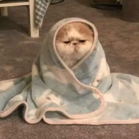 tác giả đeee