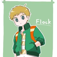 Flock