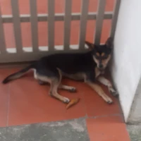 Bí ấn