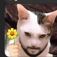 cả 3 