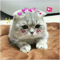 Almira