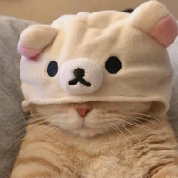 Hinse