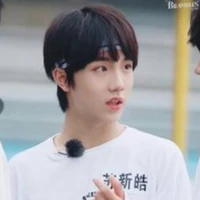 Tô Tân Hạo