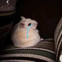 ltlvcutii_210