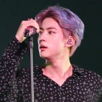 Kim Seokjin ( Appa Anh )