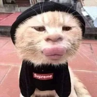 Trần Thị Mèo Méo Meo