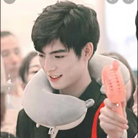 vương Hạo hiên