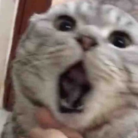 T/g