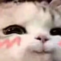 Tg