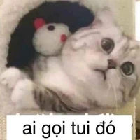 Tg hay quên