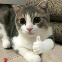 Hoàng thượng (Y/N)
