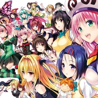 All harem