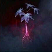 Hệ Thống 855 - Fiery - Nhân cách thứ 2
