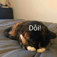 T/g lạnh lùng😏✨