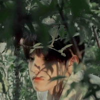Trương Trạch Vũ 