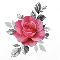 Băng Bạch Vỹ /all//