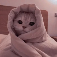 Tác giả thích 🐱(◕ᴗ◕✿)