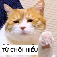 nhân vật bí ẩn