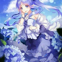 Phong Tuyết Băng - Sin 