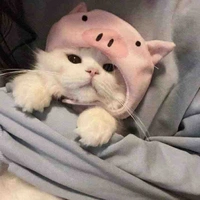 CC/ chayyydeiiariess 