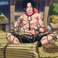 Portgas (Gol) D. Ace